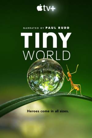 Крошечный мир онлайн