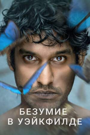 Безумие в Уэйкфилде онлайн